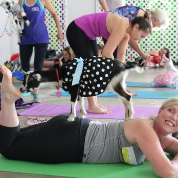 Goga Goat Yoga - Yoga Near Me - Bee Cave, Texas Goga Goat Yoga - Yoga Near Me - Bee Cave, Texas
