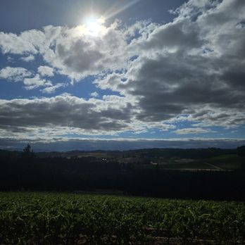 Willamette Valley Vineyards - Wineries Near Me - Turner, Oregon