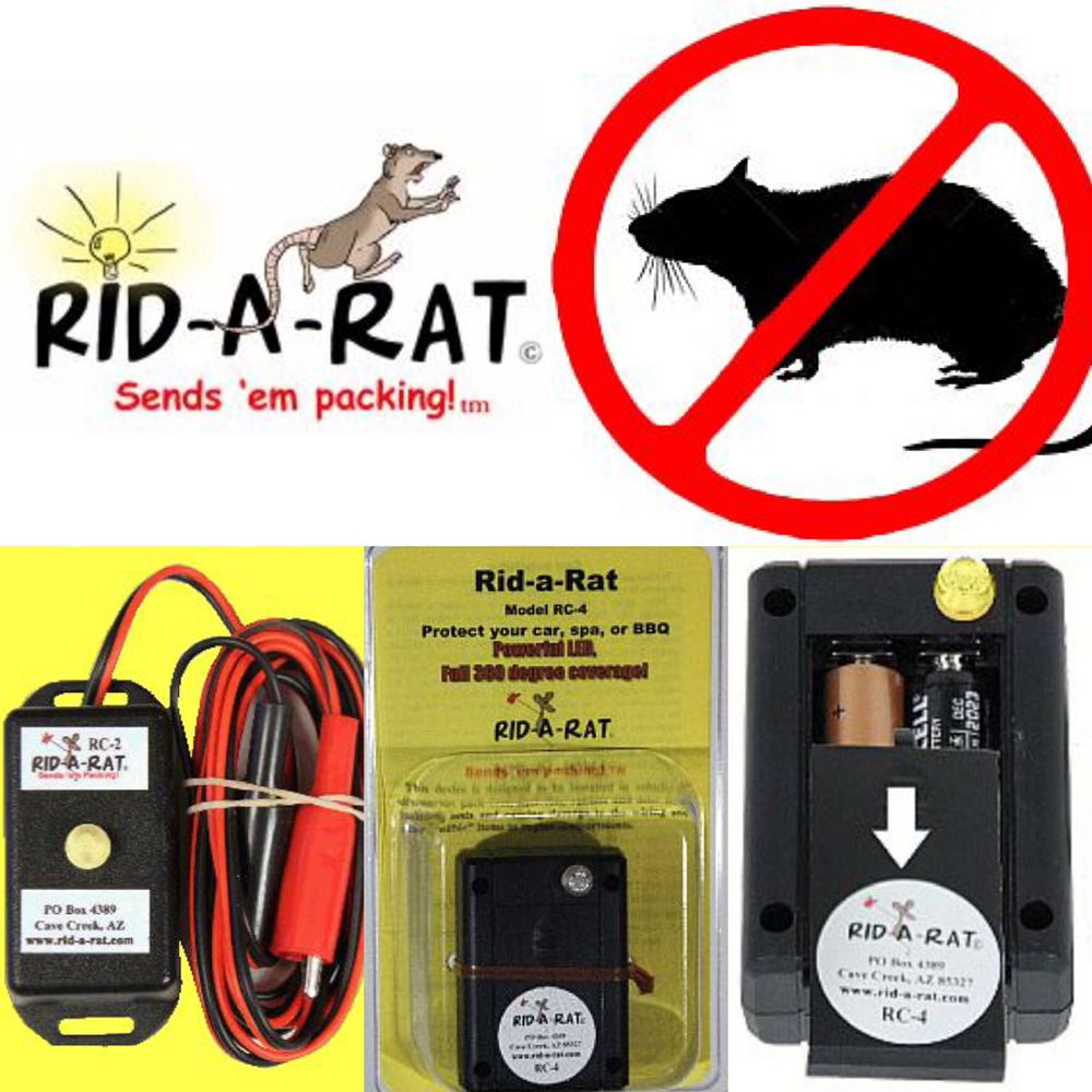 PINNACLE PEAK ACE HARDWARE 63 Photos & 55 Reviews 23623 N