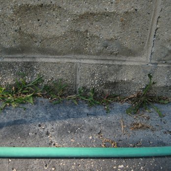 Solar Earth Lawn Care - More weeds along driveway. - Lawn Services Near Me Solar Earth Lawn Care - More weeds along driveway. - Lawn Services Near Me