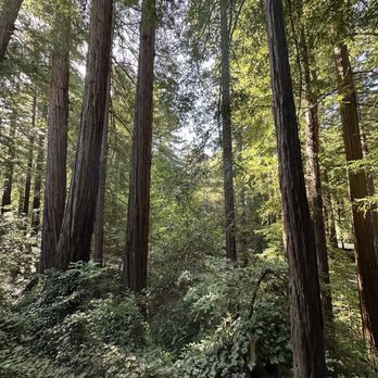 Glen Oaks Big Sur - Hotels Near Me - Big Sur, California