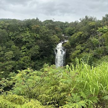 Botanical World Adventures - Botanical Gardens Near Me - Hakalau, Hawaii Botanical World Adventures - Botanical Gardens Near Me - Hakalau, Hawaii