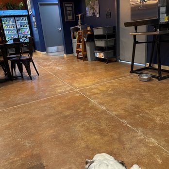 Thirsty Pika Taproom - They even have a dog bowl! - Beer Bar Near Me - Silverthorne, Colorado