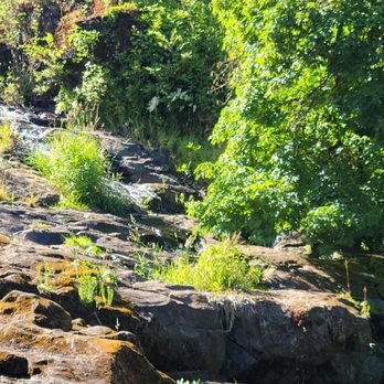 George Rogers Park - Parks Near Me - Lake Oswego, Oregon