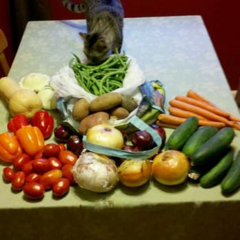 Miller Farms - $10 bag sale - Farmers Market Near Me - Platteville, Colorado