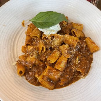 OLIVIA - Rigatoni - Italian Near Me - Tampa, Florida OLIVIA - Rigatoni - Italian Near Me - Tampa, Florida
