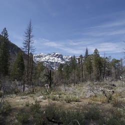 Tiltill Valley