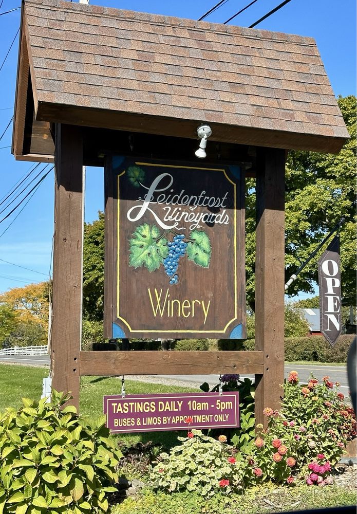 Leidenfrost Vineyards - vineyard in Hector, NY