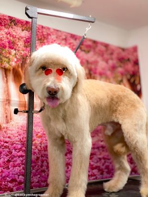 INWOOD ANIMAL CLINIC - Updated May 2025 - 246 Photos & 209 Reviews