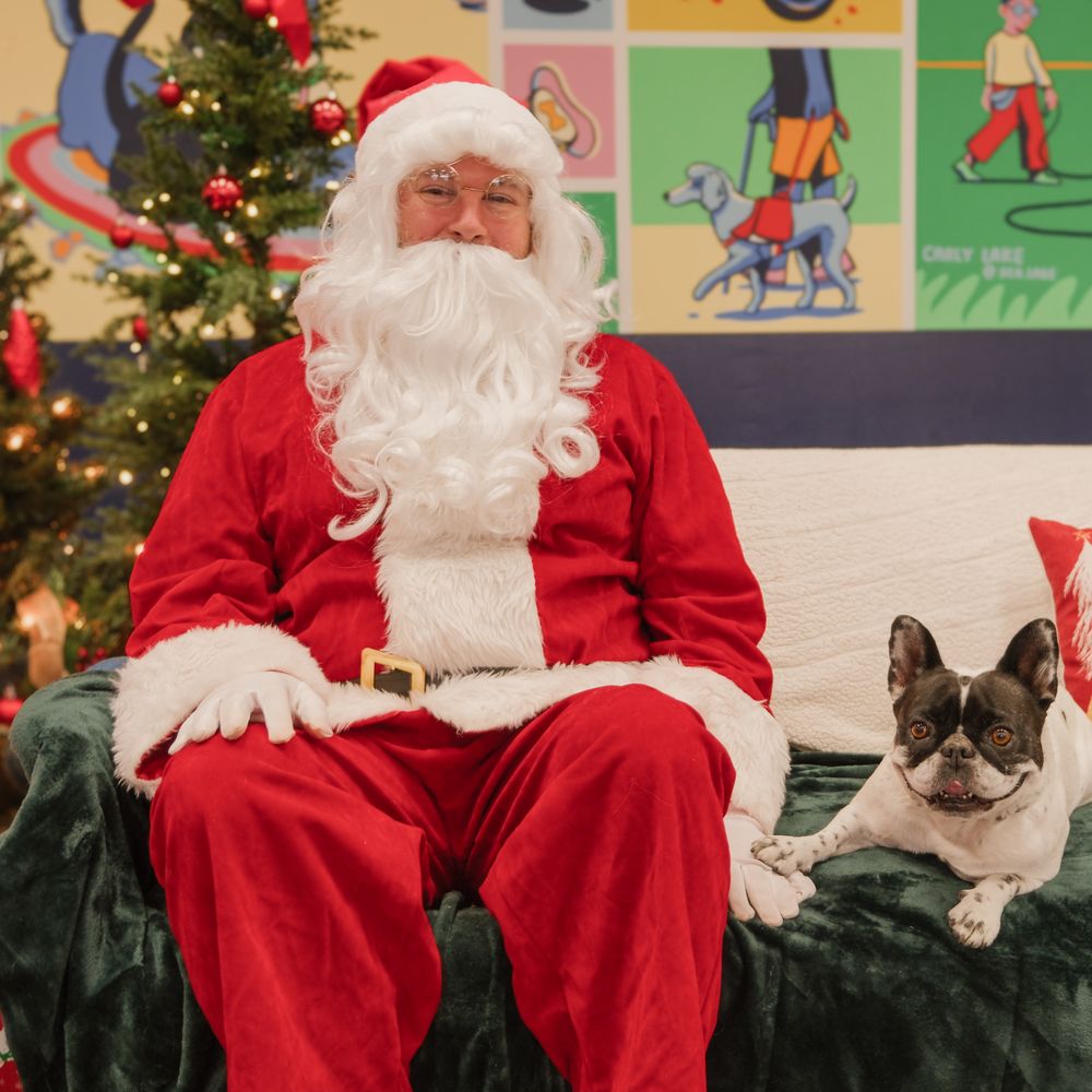 Clickstart Dog Training Academy - Photos with Santa December 24 - Pet Training Near Me - Lake Forest, California