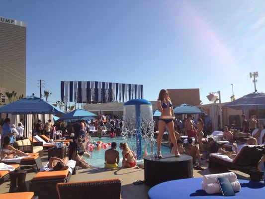 Sapphire Pool & Dayclub by null