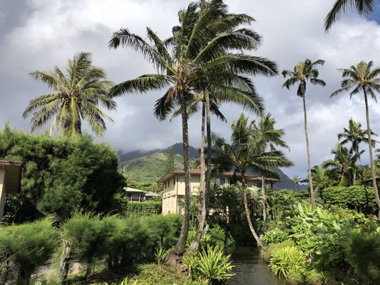Hanalei Colony Resort by null