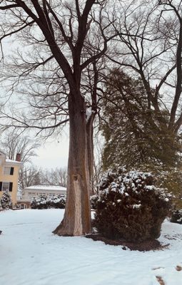Inn At Willow Grove by null