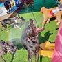 Bark N Lounge Daycare & Boarding
