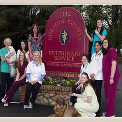 Norfolk County Veterinary Service - untitled