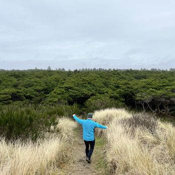 Twin Harbors State Park - Twin Harbors State Park trails - from the dunes back into the trees - Campgrounds Near Me - Westport, Washington Twin Harbors State Park - Twin Harbors State Park trails - from the dunes back into the trees - Campgrounds Near Me - Westport, Washington