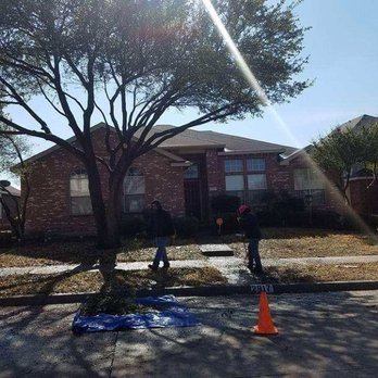 Carlitos Tree And Land Service - Tree pruning - Tree Services Near Me Carlitos Tree And Land Service - Tree pruning - Tree Services Near Me