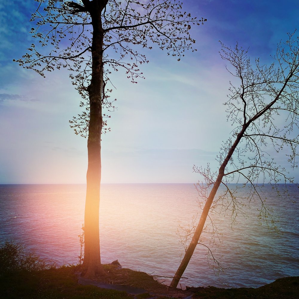 Lake Erie Bluffs MetroPark Logo