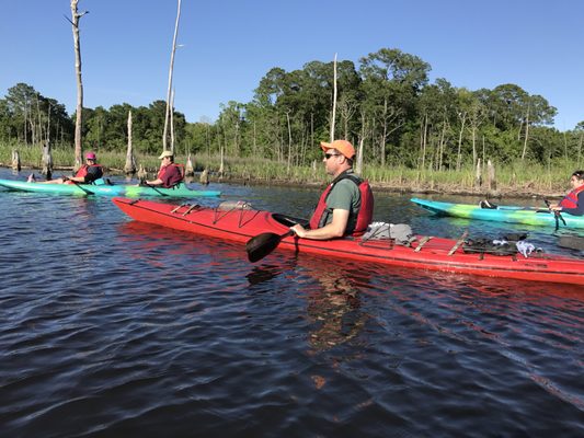 Pascagoula River Audubon Center by null
