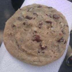 Mint chocolate chip