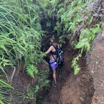 Hawaii Loa Ridge - Muddy and narrow part of the trail - Homeowner Association Near Me - Honolulu, Hawaii Hawaii Loa Ridge - Muddy and narrow part of the trail - Homeowner Association Near Me - Honolulu, Hawaii