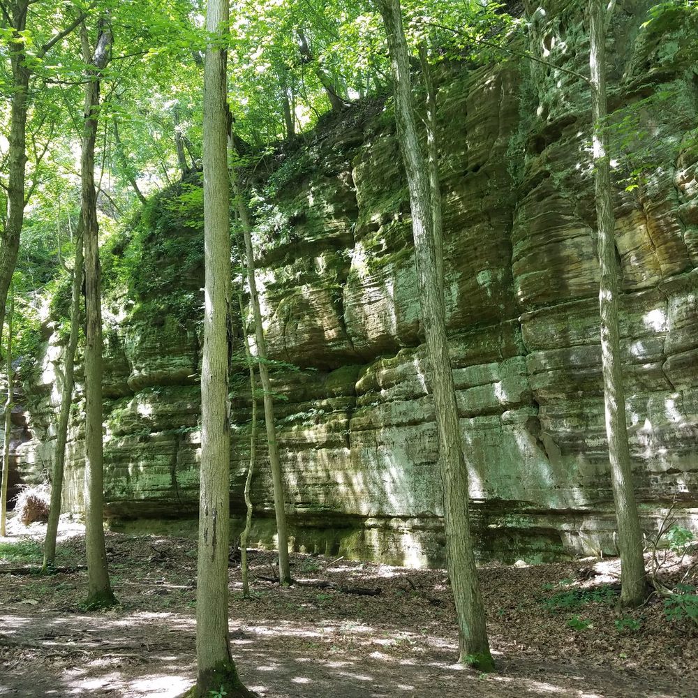 Starved Rock State Park - Parks Near Me - Utica, Illinois