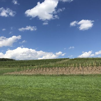 Millbrook Vineyards - Wine Tasting Room Near Me - Millbrook, New York