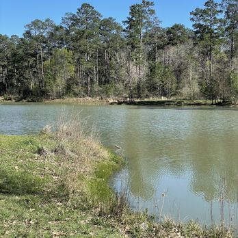 Terramont Park - Lake - Disc Golf Near Me - The Woodlands, Texas Terramont Park - Lake - Disc Golf Near Me - The Woodlands, Texas
