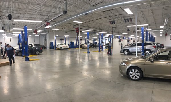 Inspiring Performance Kings Honda 9131 Fields Ertel Rd Cincinnati Oh 45249 Pictures