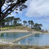 Twin Peaks Reservoir gift card