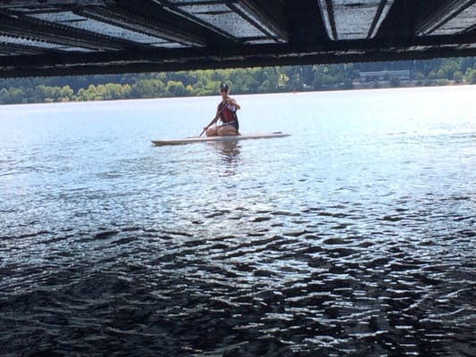Hudson River Expeditions by null