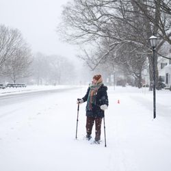 The Dorset Inn - Winter in Dorset