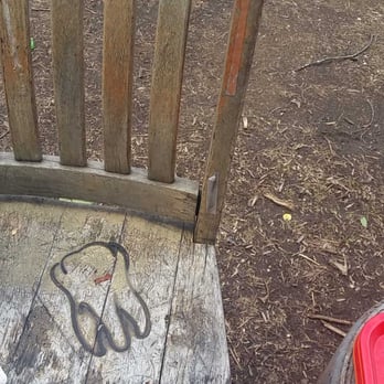 la Barbecue - Cool chair with a tooth carving - Barbeque Near Me - Austin, Texas la Barbecue - Cool chair with a tooth carving - Barbeque Near Me - Austin, Texas