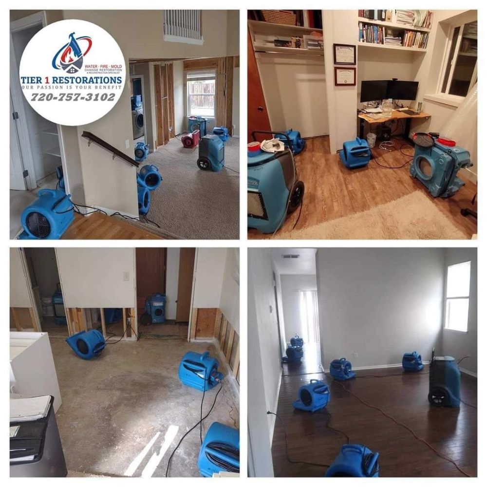 Slide of Tier 1 Restorations