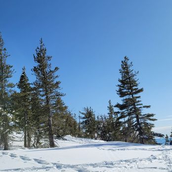 Tahoe Meadows - Parks Near Me