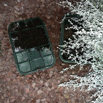 Bighorn Pest Control - Bee removal from valve box - Pest Control Near Me - North Las Vegas, Nevada Bighorn Pest Control - Bee removal from valve box - Pest Control Near Me - North Las Vegas, Nevada