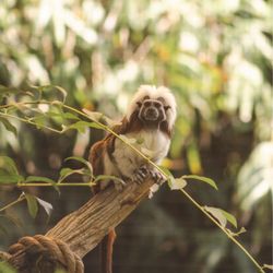 Cape May County Park & Zoo