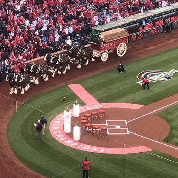 Busch Stadium - Stadiums & Arenas Near Me - Saint Louis, Missouri Busch Stadium - Stadiums & Arenas Near Me - Saint Louis, Missouri