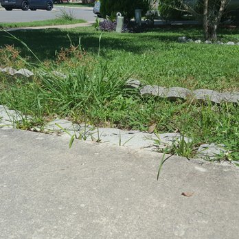 UMOW Lawn Care Service - Yeah again, you didnt trim these why??? - Lawn Services Near Me - Austin, Texas UMOW Lawn Care Service - Yeah again, you didnt trim these why??? - Lawn Services Near Me - Austin, Texas