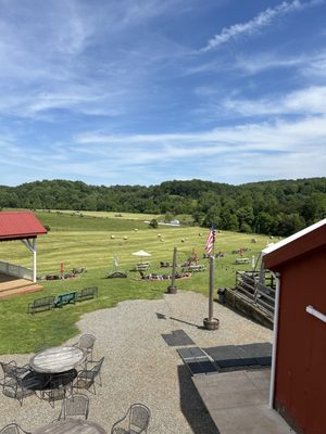 Bald Top Brewing Co. by null