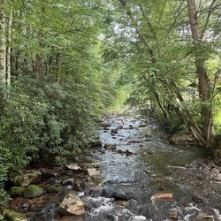 Black Bear Resort
