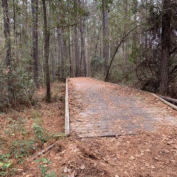Bulls Bay Preserve - Small bridge - Mountain Biking Near Me - Jacksonville, Florida Bulls Bay Preserve - Small bridge - Mountain Biking Near Me - Jacksonville, Florida