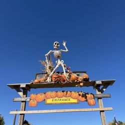 Roca Berry Farm