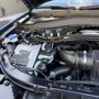 Top Dog Mobile Detailing South