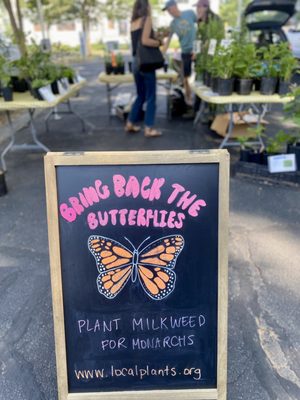 Uptown Farmers Market by null