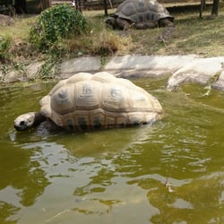 La Vallée des Tortues
