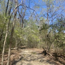Florence Rail Trail