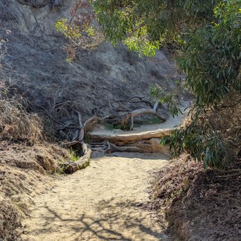 Annie's Canyon Trail - Hiking Near Me - Encinitas, California