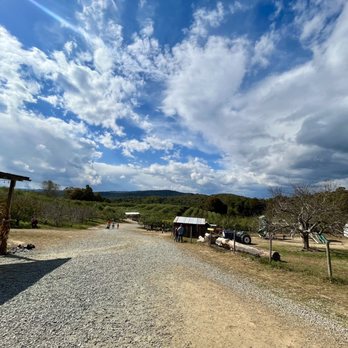 Sky Top Orchard - Pick Your Own Farms Near Me - Zirconia, North Carolina