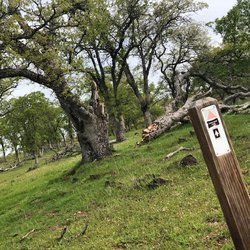 Deer Creek Hills Preserve - Follow the posts to stay on the trail. Orange triangle = 6-mile Barn Pond Trail.